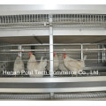 Galvanisation Automatique Système de cage de poulet (type H)